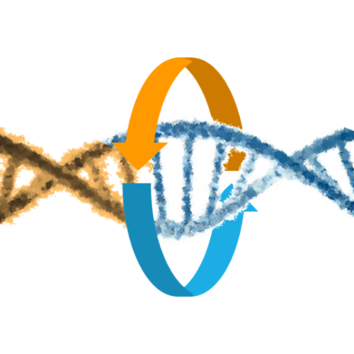 Portable Human DNA analyser for forensic science